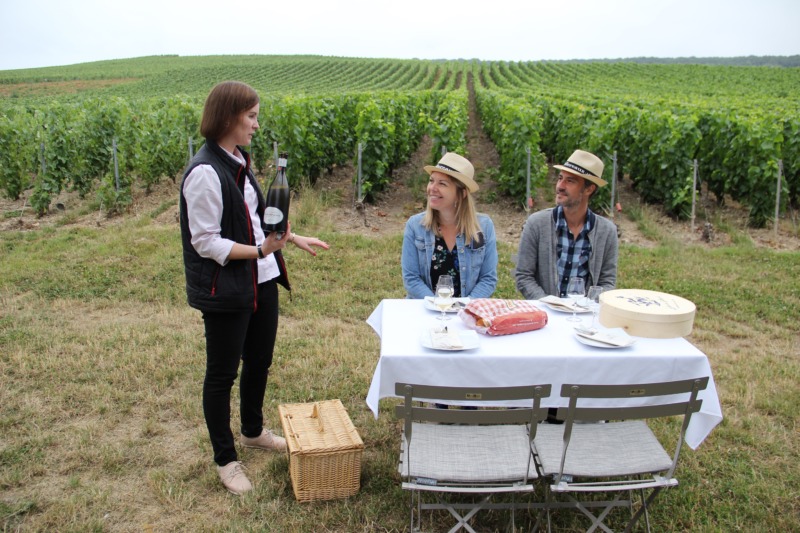 3 Champagne Vollereaux - Pierry © E.Vidal- coll. ADT Marne