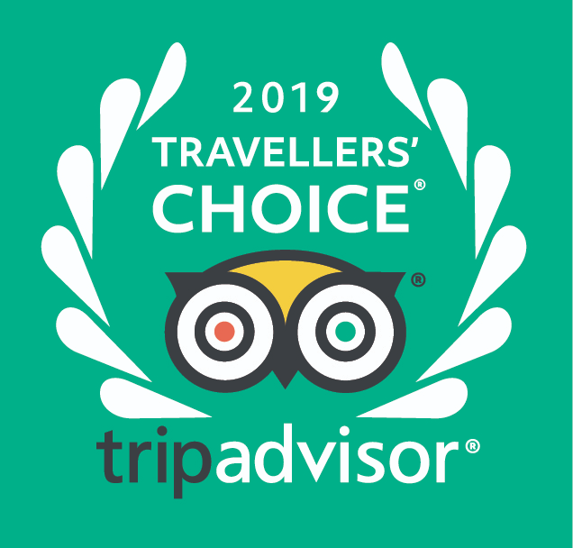 TripAdvisor Experiences: What Makes It Unique